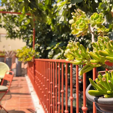 Guest house Casa Do Bairro By Shiadu