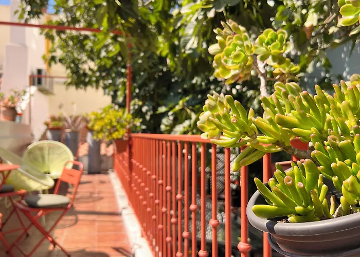 Gasthuis Casa Do Bairro By Shiadu